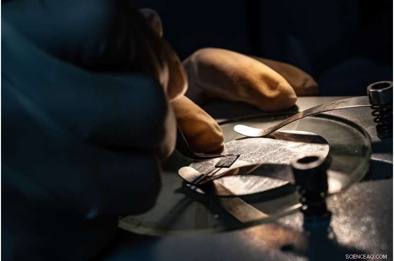 Iron Selenide Confirmed as a Conventional Iron-Based Superconductor