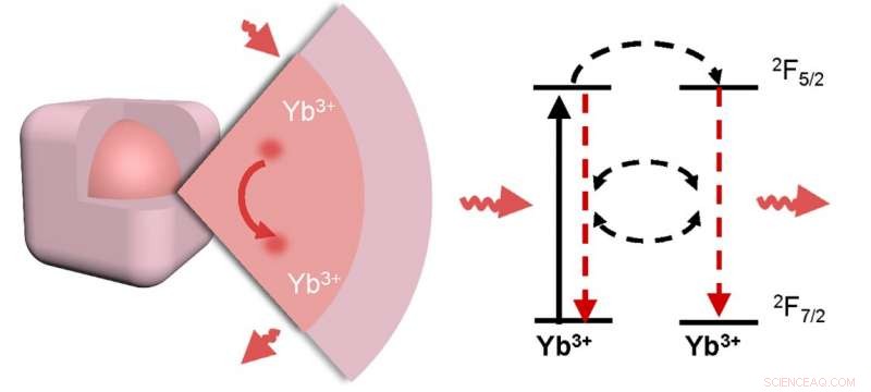 Ultra‑Precise Live Organ Imaging Achieved with Ytterbium‑Enhanced Photonics