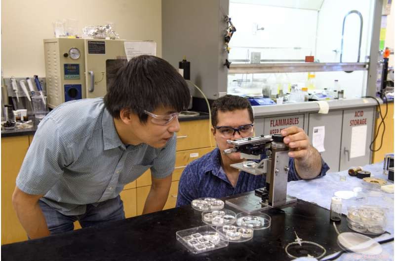WSU and OSU Researchers Unveil Affordable, Custom Lens Manufacturing Technique