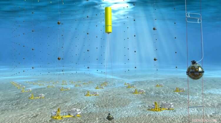 Deep-Sea Neutrino Telescope Unveils Cosmic Rays: Curtin Researchers Lead International Effort
