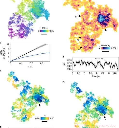 Tracking Nanoscopic Protein Dynamics on Live Cell Membranes