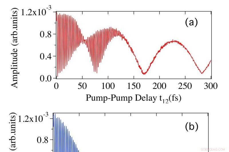 Quantum Interferometry Decodes the Pathway of Coherent Phonon Generation