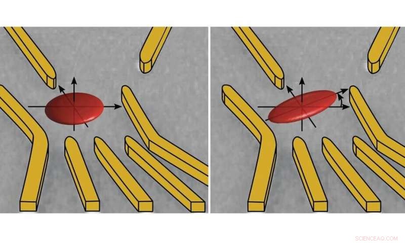 Scientists Achieve First Precise Measurement of Electron Geometry