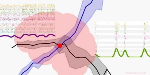 Scientists Discover Continuous Brain Transition as Rats Wake Up