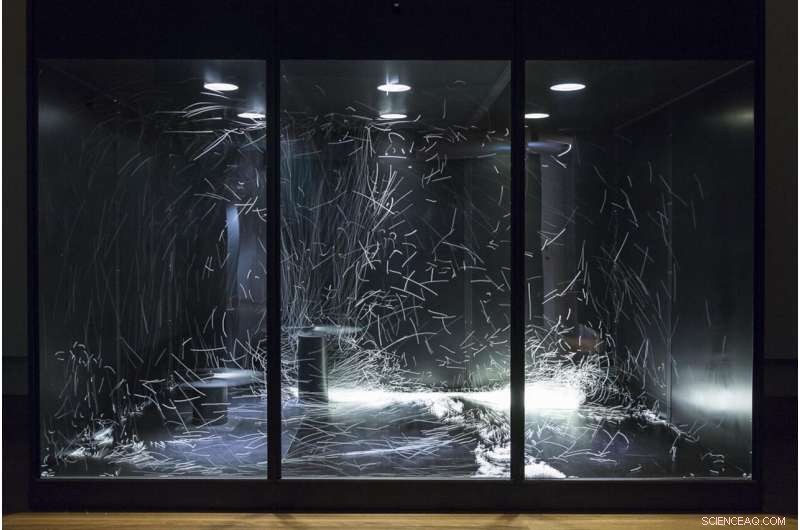 Art Meets Science: Unveiling the Turbulent Dynamics of Eddies