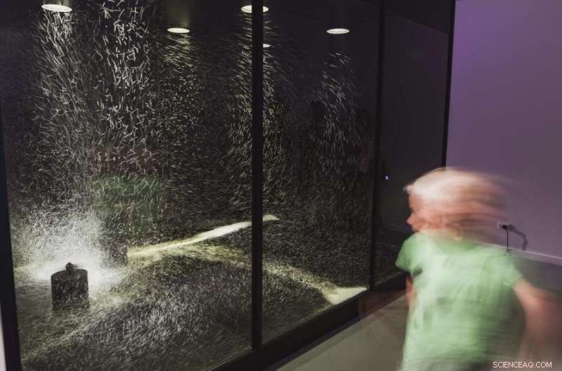 Art Meets Science: Unveiling the Turbulent Dynamics of Eddies