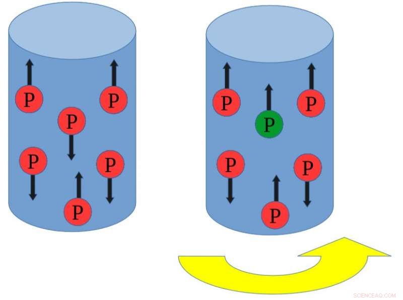 Groundbreaking Observation of the Nuclear Barnett Effect