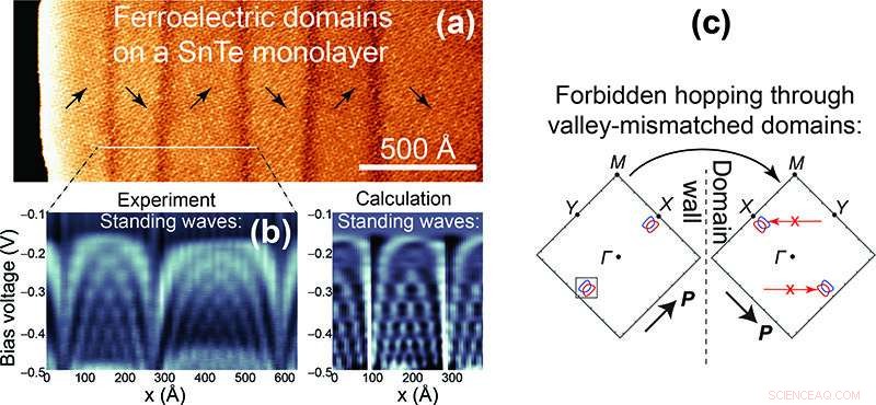 Scientists Unveil Novel Behaviors in Atomically Thin Ferroelectrics
