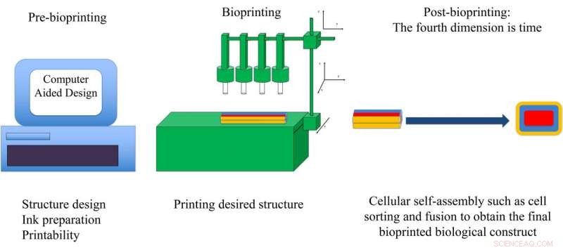 Harnessing Physics Laws to Revolutionize Bioprinting Precision