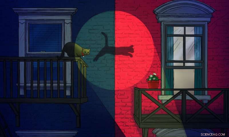 Yale Scientists Predict and Preserve Schrödinger’s Cat