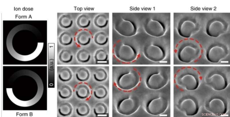 3‑D Janus Plasmonic Helical Nanoapertures for Polarization‑Encryption Data Storage