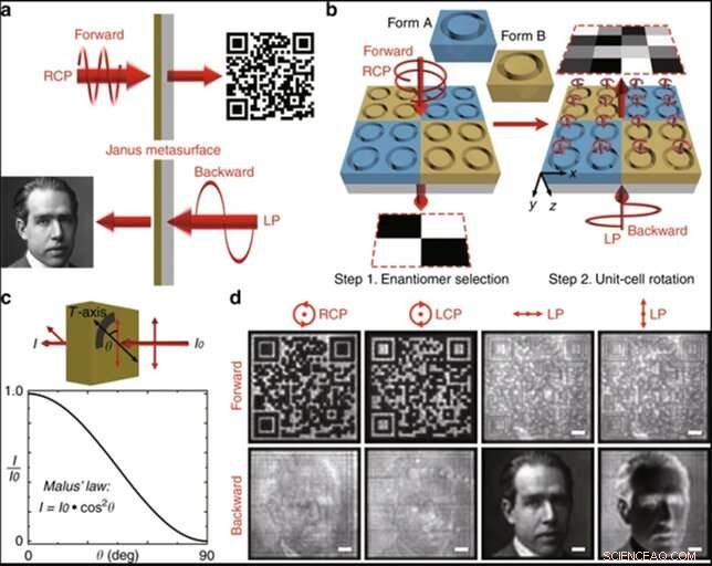3‑D Janus Plasmonic Helical Nanoapertures for Polarization‑Encryption Data Storage