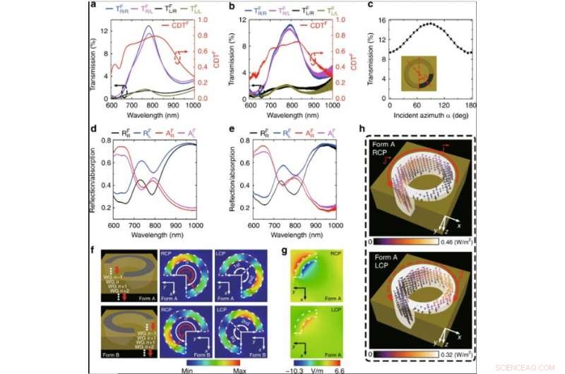 3‑D Janus Plasmonic Helical Nanoapertures for Polarization‑Encryption Data Storage