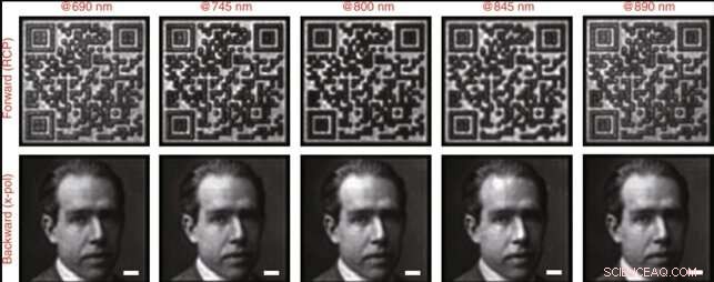 3‑D Janus Plasmonic Helical Nanoapertures for Polarization‑Encryption Data Storage
