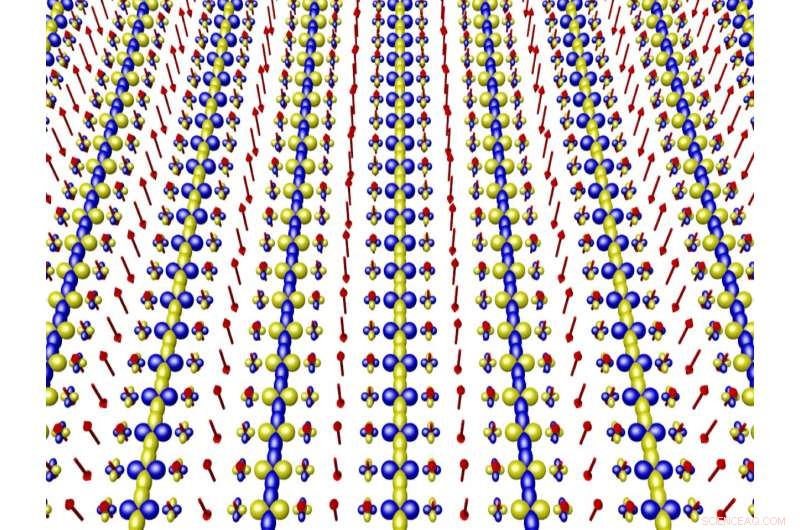 Field-Induced Pair Density Wave Unveiled in High‑Temperature Superconductors