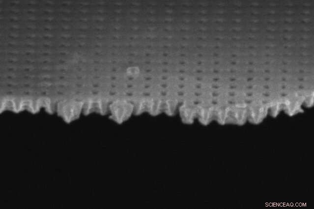 Pressure Drives Liquid Vaporization Faster Than Temperature