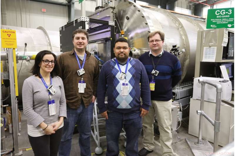 Neutron Scattering Enhances 3‑D Models of DNA and RNA