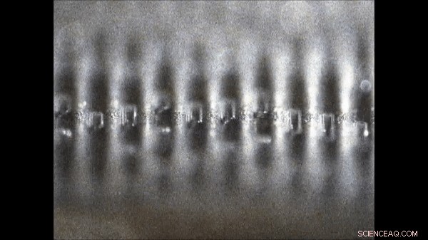 Mechanowetting-Driven Droplet Transport on Transverse Waves