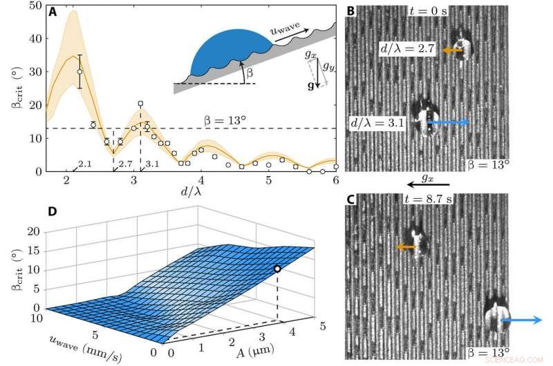 Mechanowetting-Driven Droplet Transport on Transverse Waves