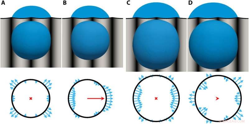Mechanowetting-Driven Droplet Transport on Transverse Waves