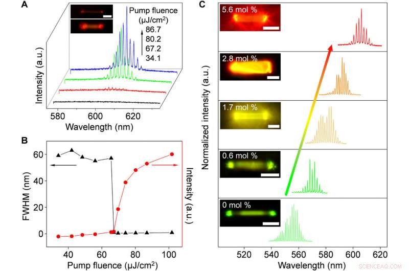 Engineering Wavelength‑Tunable Light‑Harvesting Microcrystals in Organic Semiconductors