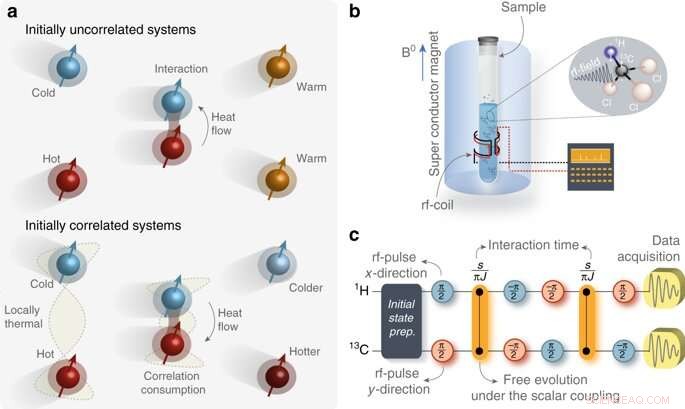 Experimental Study Shows Heat Flow Reversed by Quantum Correlations