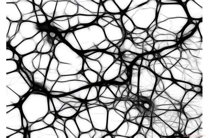 Transformer Cells: Revolutionizing Cellular Behavior