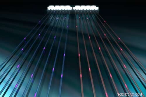 Generating and Sampling Quantum Light States on a Silicon Chip