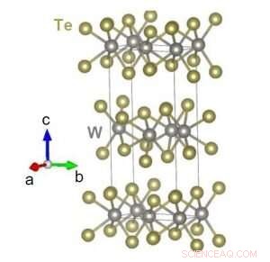 First Direct Observation of a Native Ferroelectric Metal