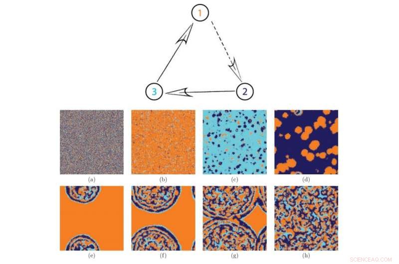 Rock-Paper-Scissors Dynamics: A Model of Species Coexistence