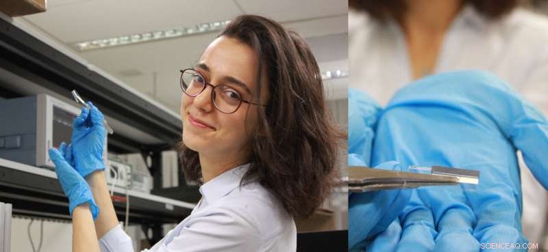 Silicon Chip Breaks Ground with First Light‑Wave Tsunami