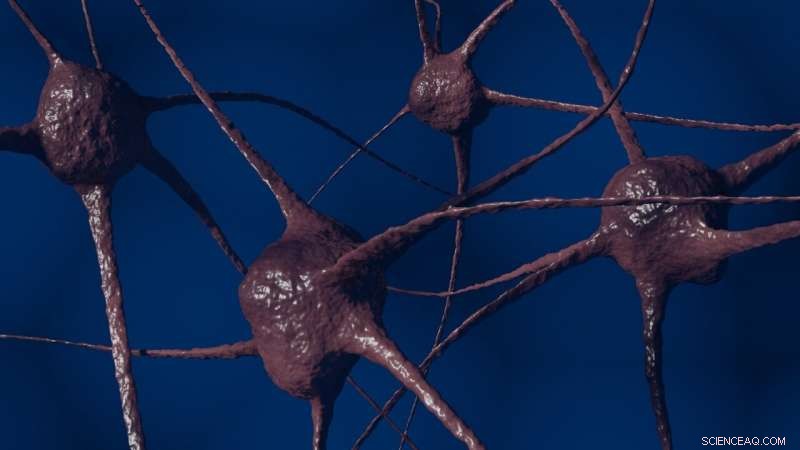 Physicists Unveil New Model Predicting Biological Length Growth