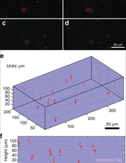 Innovative MEMS‑In‑The‑Lens Design Enhances Laser Scanning Microscopy