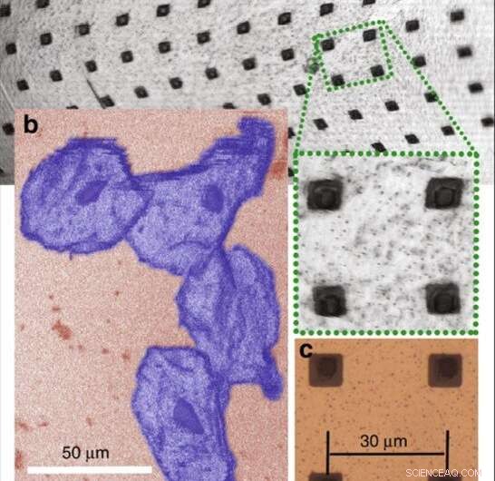 Innovative MEMS‑In‑The‑Lens Design Enhances Laser Scanning Microscopy