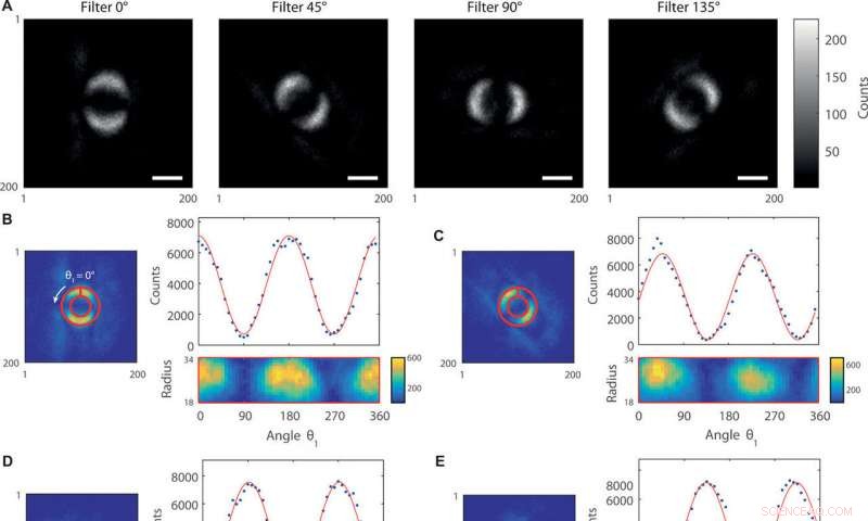Scientists Reveal First-Ever Image Capturing Quantum Entanglement