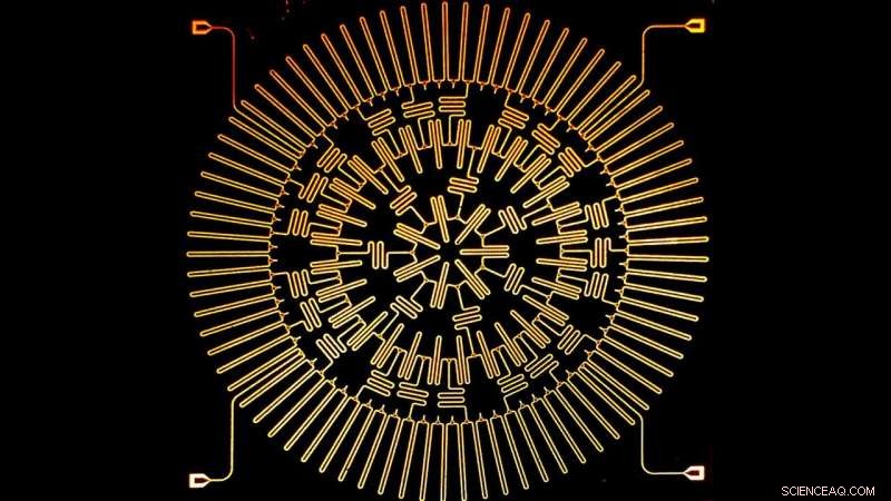 Warped Hyperbolic Geometry Enables New Frontiers in Scientific Research