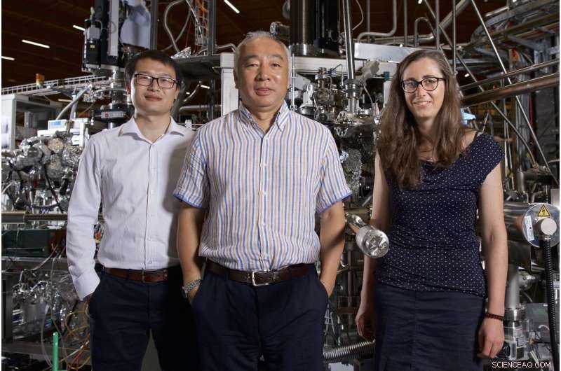 New Discovery: Weyl Fermions Identified in Paramagnetic Materials