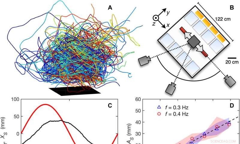 Midge Swarms Exhibit Viscoelastic Behavior: Insights into Their Mechanical Properties