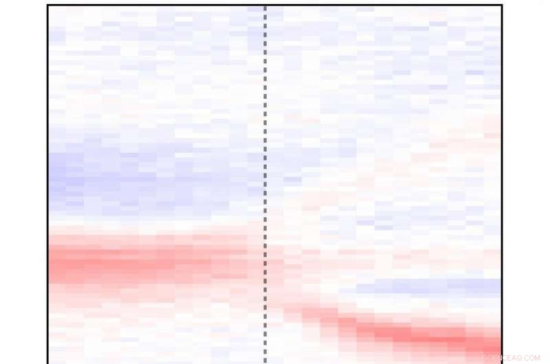 Exploring Light-Matter Coupling Through Polaritons