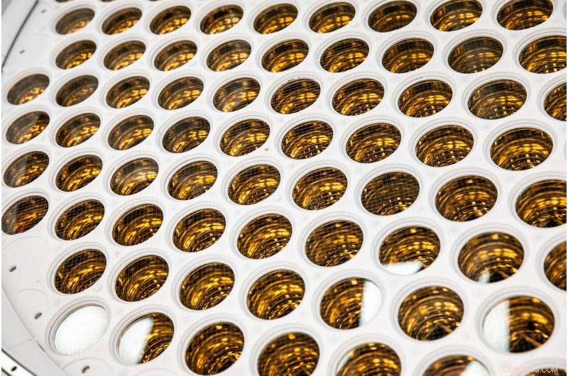 Scientists Complete Assembly of the Largest U.S. Dark Matter Experiment