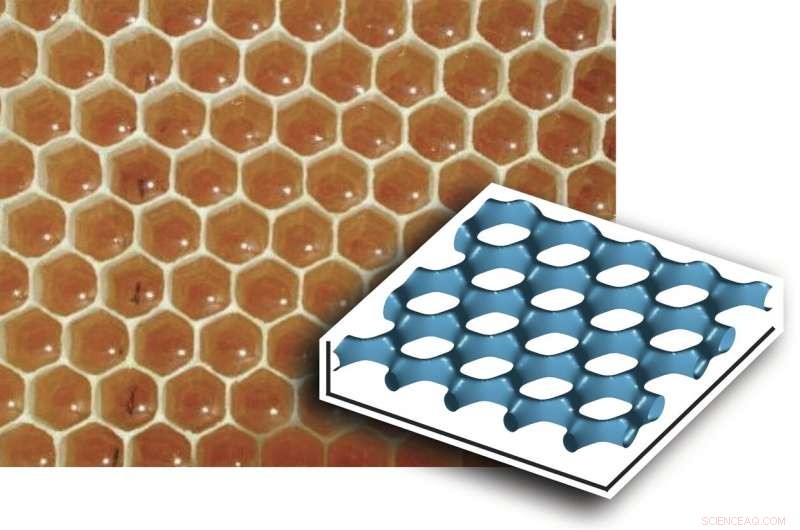 Groundbreaking Discovery: New Supersolid Phase in Dipolar Bose–Einstein Condensates