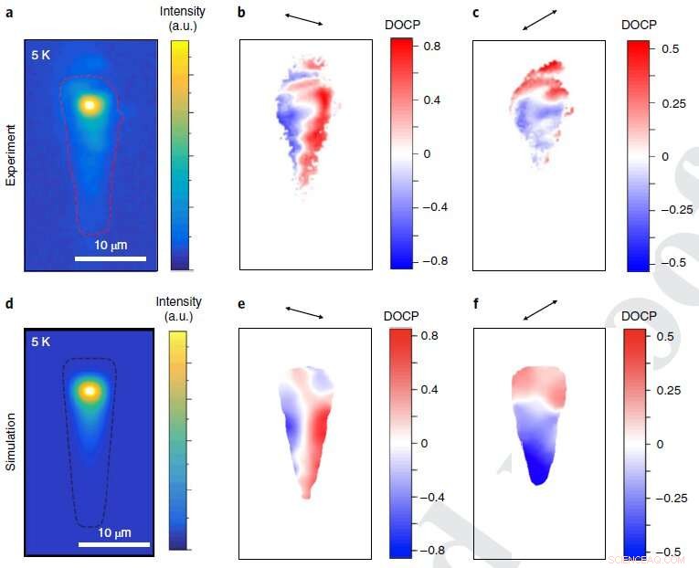 Physicists Demonstrate Light Transmission Through the World’s Thinnest Semiconductor Crystal