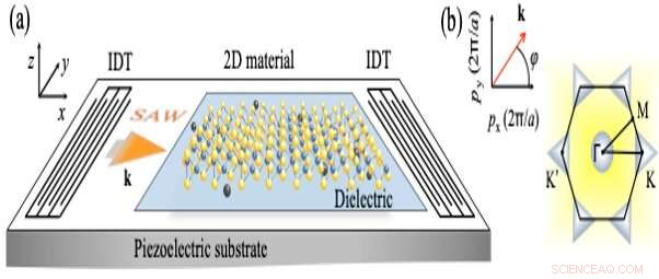 Acoustic Waves Uncover Unconventional Phenomena in 2‑D Materials