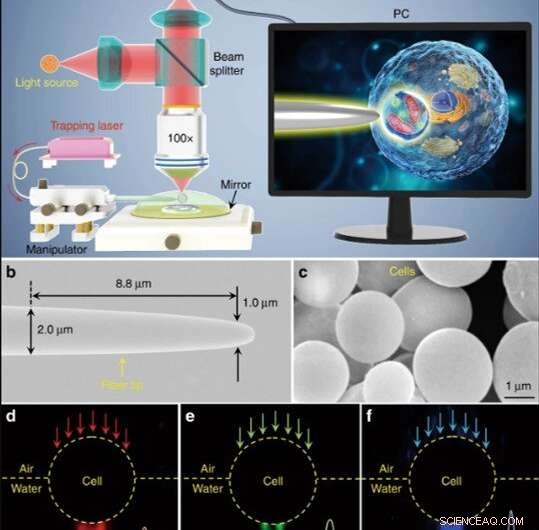 Natural Single-Cell Biomagnifier Enables Subwavelength Imaging Beyond Conventional Limits