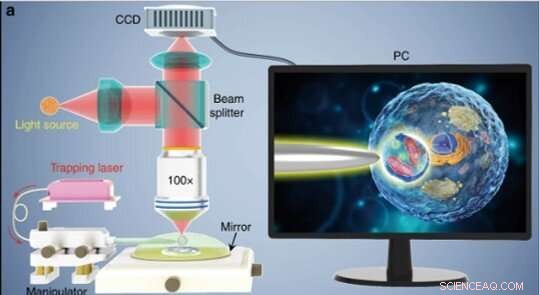 Natural Single-Cell Biomagnifier Enables Subwavelength Imaging Beyond Conventional Limits