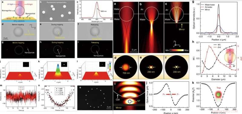 Natural Single-Cell Biomagnifier Enables Subwavelength Imaging Beyond Conventional Limits