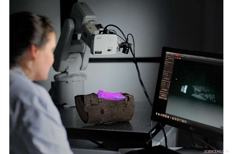 Terahertz Imaging Uncovers Hidden Insect Damage Beneath Wood Surfaces