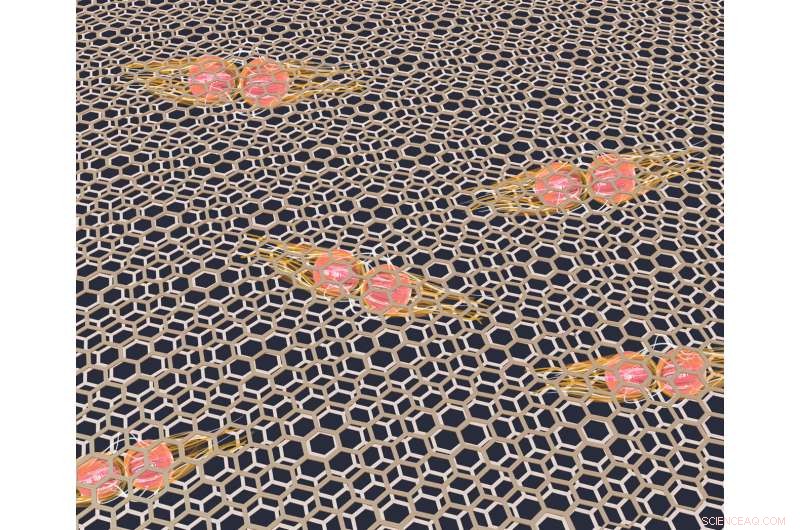 Probing the Secrets of Magic-Angle Superconductors Through Advanced Experiments