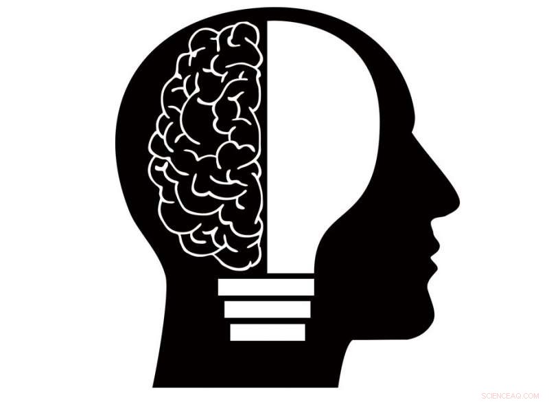 Scientists Model Human Unihemispheric Sleep