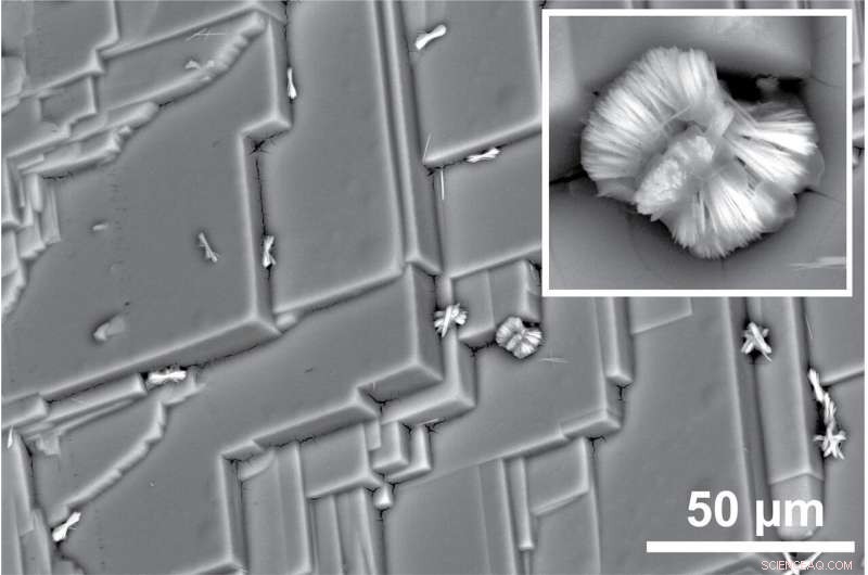 Solar Cell Material Treatment Reveals Unexpected Microstructures